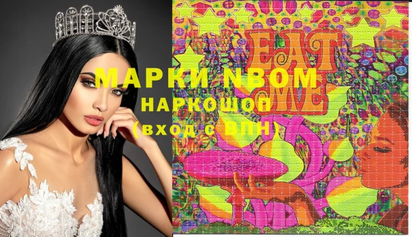 гашик Кропоткин