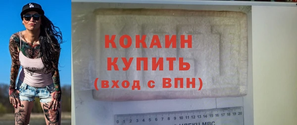 гашик Кропоткин