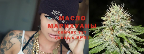гашик Кропоткин