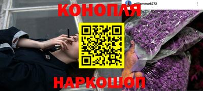 МДПВ Камышлов