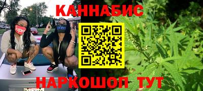 МДПВ Камышлов