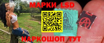 МДПВ Камышлов