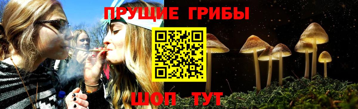 Псилоцибиновые грибы Magic Shrooms  Ставрополь 