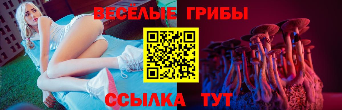 где найти наркотики  Галлюциногенные грибы мицелий  Галлюциногенные грибы Magic Shrooms  Вход с VPN  Ставрополь 